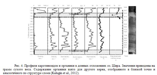 . 4.        . .      .      ,          (Kalugin et al., 2012).